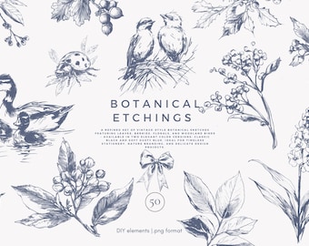 Clipart botaniczny png, ilustracje akwaforty kwiatowej w stylu vintage, szkice leśnej przyrody z niebieskim konturem, zestaw grafik cyfrowych ogrodowych