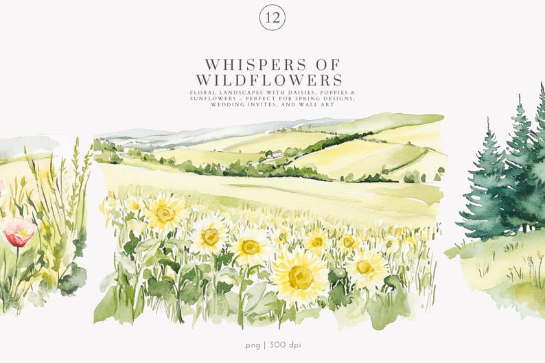 May include: Watercolor painting of a landscape with wildflowers, including daisies, poppies, and sunflowers. The painting features a rolling hillside with a small village in the distance. The painting is titled "Whispers of Wildflowers" and includes the text "Floral Landscapes with Daisies, Poppies & Sunflowers - Perfect for Spring Designs, Wedding Invites, and Wall Art".