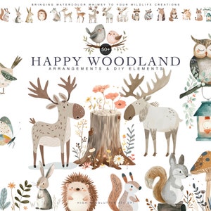 aquarel bos dieren clipart bundel, kwekerij clipart, fox png, schattige eland clipart, eekhoorn clipart, bos dieren set, uil png