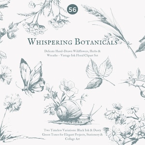 May include: A set of 56 vintage ink floral clipart illustrations. The illustrations include wildflowers, herbs, and wreaths. The illustrations are in black ink and dusty green tones. The illustrations are perfect for elegant projects, stationery, and collage art.