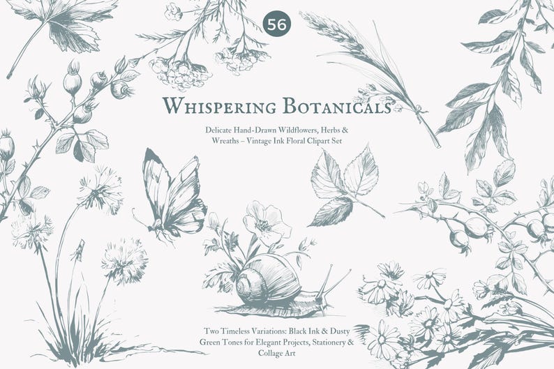 May include: A set of 56 vintage ink floral clipart illustrations. The illustrations include wildflowers, herbs, and wreaths. The illustrations are in black ink and dusty green tones. The illustrations are perfect for elegant projects, stationery, and collage art.