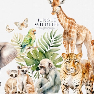aquarel jungle wildlife clipart - aquarel clipart - jungle clipart - stickers clipart - scrapbooking clipart - jungle dieren clipart