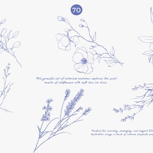 Puede incluir: Bocetos bot&aacute;nicos de flores silvestres en tinta azul suave. La imagen incluye varias ilustraciones florales, con el n&uacute;mero 70 en un c&iacute;rculo azul. El texto dice: "Este elegante conjunto de bocetos bot&aacute;nicos captura la tranquila belleza de las flores silvestres con suaves l&iacute;neas de tinta azul."