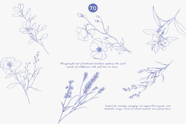 Puede incluir: Bocetos bot&aacute;nicos de flores silvestres en tinta azul suave. La imagen incluye varias ilustraciones florales, con el n&uacute;mero 70 en un c&iacute;rculo azul. El texto dice: "Este elegante conjunto de bocetos bot&aacute;nicos captura la tranquila belleza de las flores silvestres con suaves l&iacute;neas de tinta azul."
