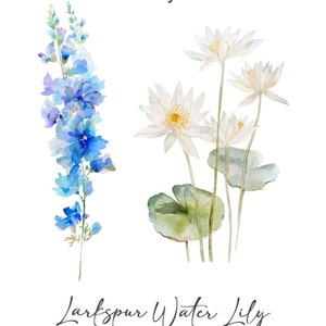 May include: Watercolor painting of blue larkspur flowers and white water lilies. The flowers are painted in a realistic style with delicate details. The text "July" and "Larkspur Water Lily" are written below the flowers.