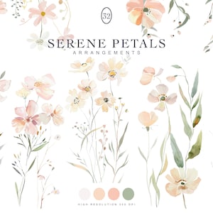 fleurs sauvages - clipart floral - fleurs de prairie pastel - éléments de bricolage - minimaliste - clipart aquarelle - création de cartes de voeux - création de logo
