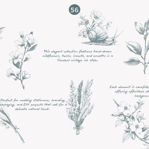 May include: A collection of hand-drawn illustrations featuring wildflowers, herbs, insects, and wreaths in a vintage ink style. The illustrations are perfect for adding a delicate, natural touch to wedding stationery, branding, packaging, and DIY projects.