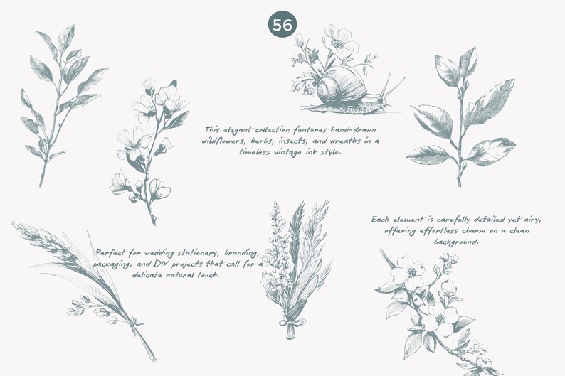 May include: A collection of hand-drawn illustrations featuring wildflowers, herbs, insects, and wreaths in a vintage ink style. The illustrations are perfect for adding a delicate, natural touch to wedding stationery, branding, packaging, and DIY projects.