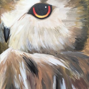 Art Print Owl Eye image 1