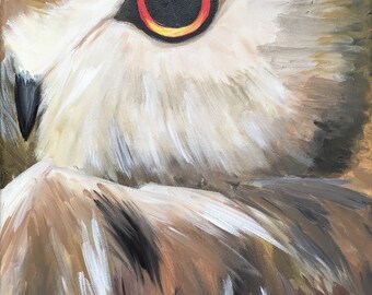 Art Print Owl Eye
