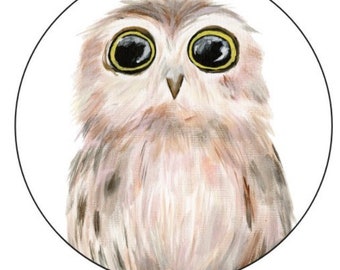Owl Sticker