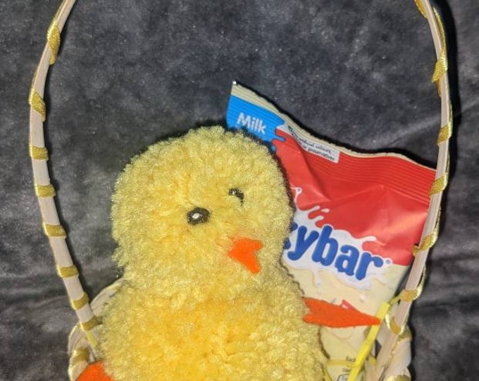 Easter chick gift basket