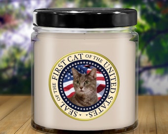 willows cat products