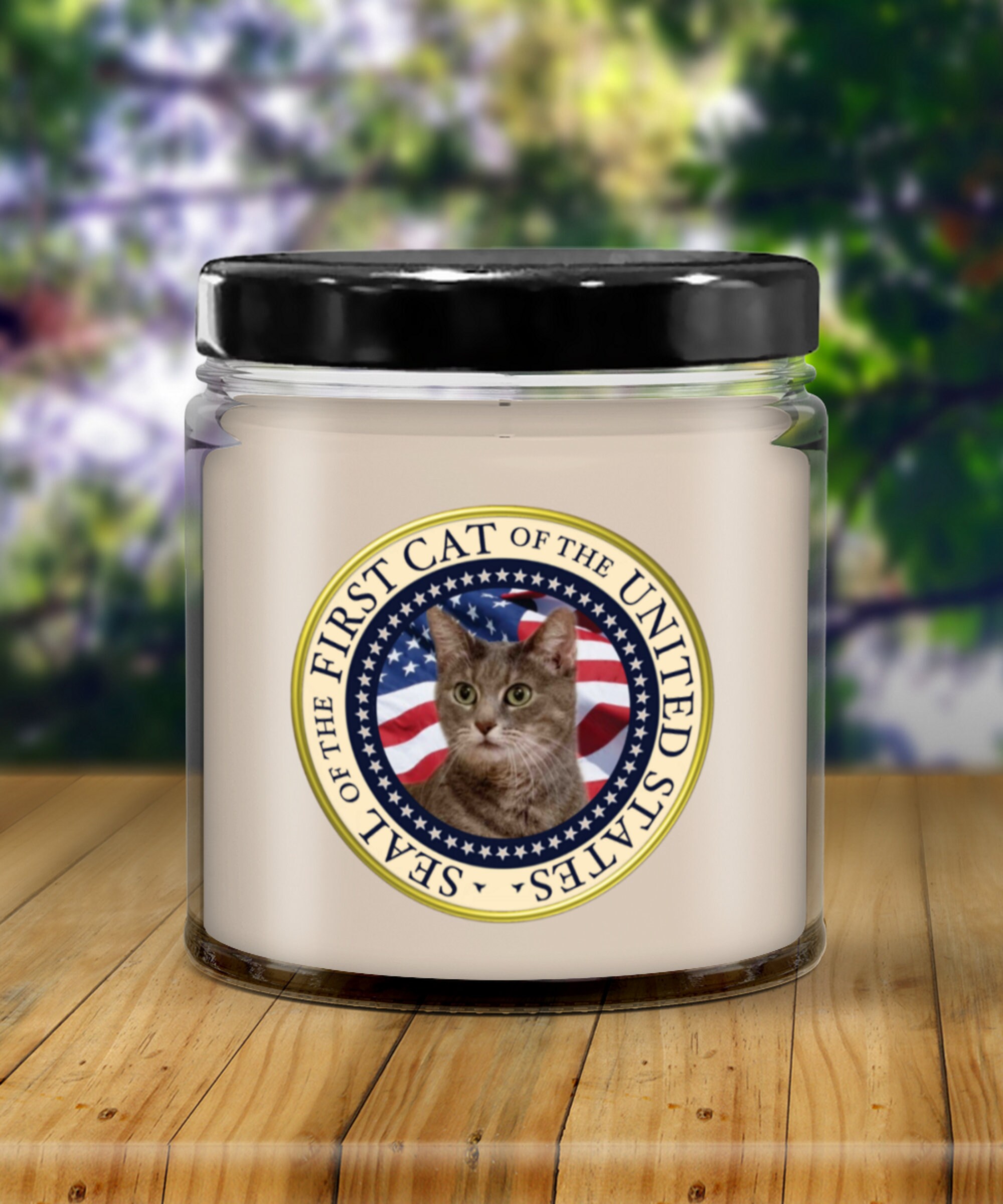 Willow Biden The White House First Cat Joe Biden Jill Biden Pet 9 
