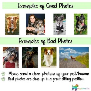 Rompecabezas personalizado con tu foto, juego navideño para mascotas, regalo de condolencia para amantes de los gatos y los perros. imagen 13