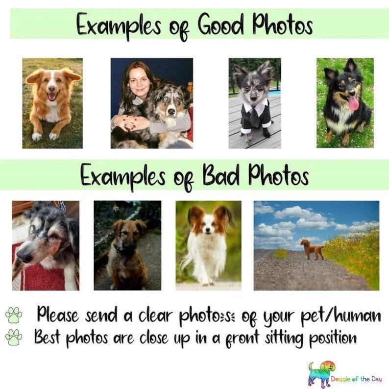 Rompecabezas personalizado con tu foto, juego navideño para mascotas, regalo de condolencia para amantes de los gatos y los perros. imagen 13