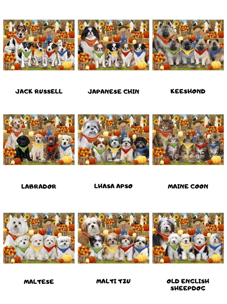 Great Dane Dalmatian Greater Swiss Mountain Doberman English Setter Dachshund Fall Festival Dog Cat Bath Mat /& Shower Curtain Combo