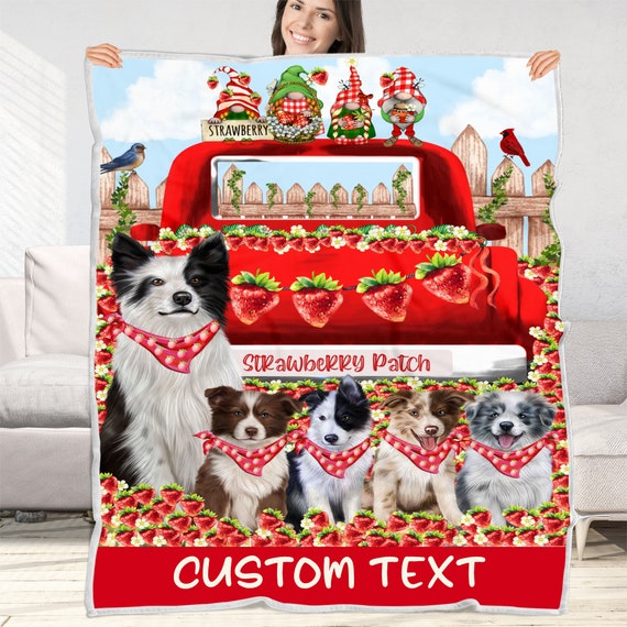 Best puppy blankets sale