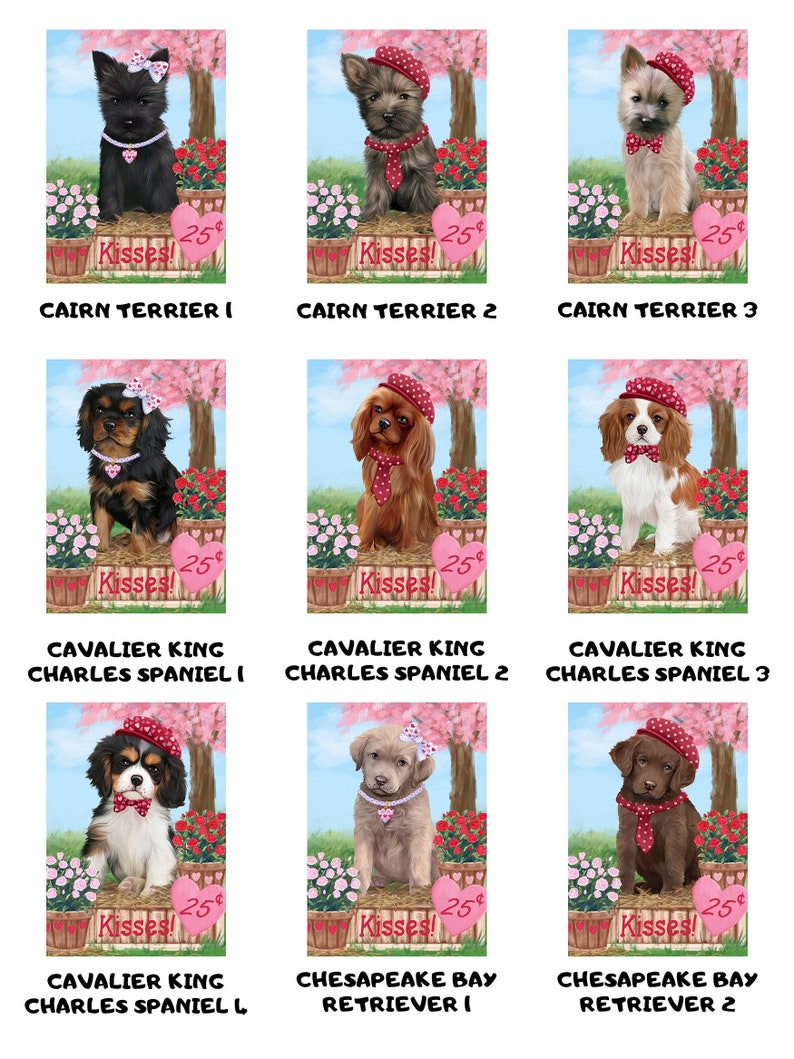 Bluetick Coonhound Rosie 25 Cent Kisses Dog Cat Refrigerator Magnet Boston Terrier Border Collie Boxer Beagle Blue Heeler