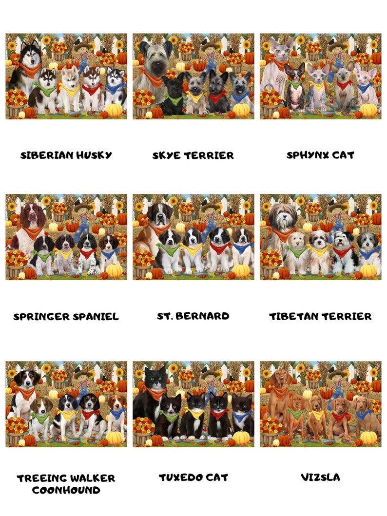 Great Dane Dalmatian Greater Swiss Mountain Doberman English Setter Dachshund Fall Festival Dog Cat Bath Mat /& Shower Curtain Combo