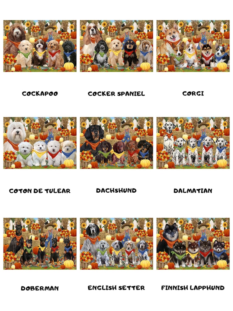 Great Dane Dalmatian Greater Swiss Mountain Doberman English Setter Dachshund Fall Festival Dog Cat Bath Mat /& Shower Curtain Combo