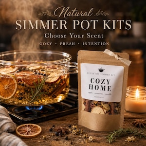 May include: A clear glass pot with simmering water, orange slices, and spices. A brown paper bag labeled "COZY HOME" with apple, cinnamon, and vanilla ingredients. The text reads "Natural Simmer Pot Kits."