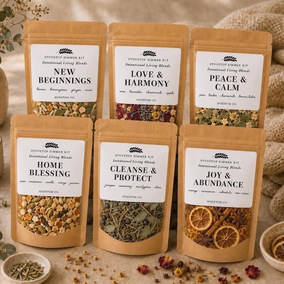 Intention Simmer Pot Kit Singles or Set, House Blessing Protection Cleansing Renewal, Stovetop Potpourri Ritual, Candle Alternative Gift