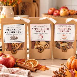 Fall Simmer Pot Kits – Singles or Set: Stovetop Potpourri, Apple Cider Donut, Pumpkin Bread, Cinnamon Crumb Cake