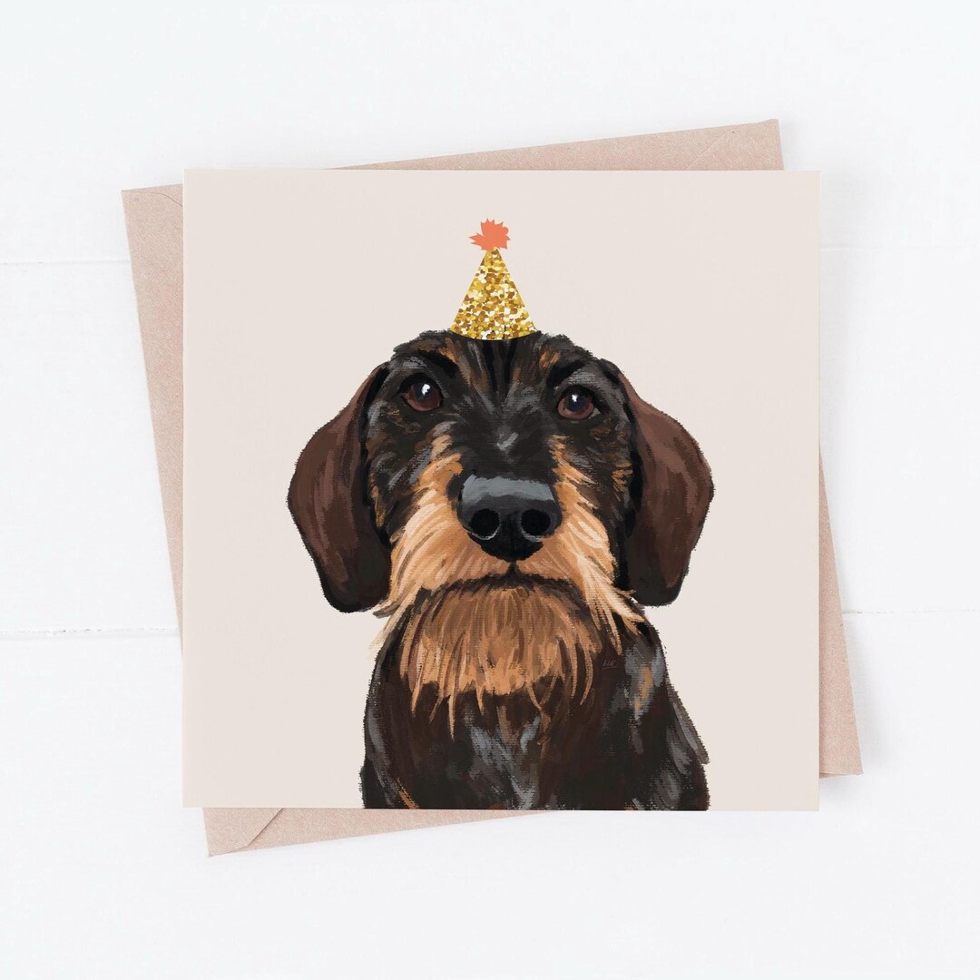 Wire-haired Dachshund Birthday Card: Sausage Dog With Party Hat - Etsy