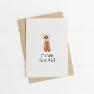 Carte de rétablissement, carte de rétablissement, carte de rétablissement, au moins vous n'avez pas à porter de cornet, pensez à vous, de la part du chien