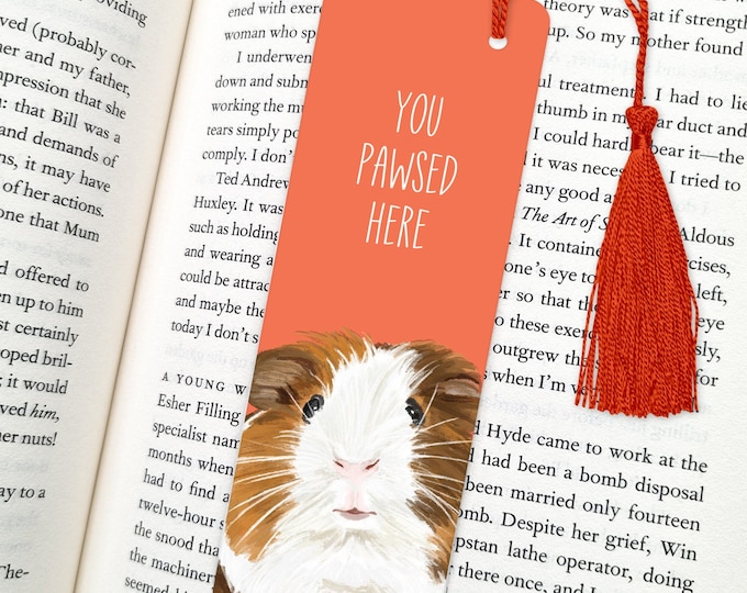 Guinea Pig - Etsy