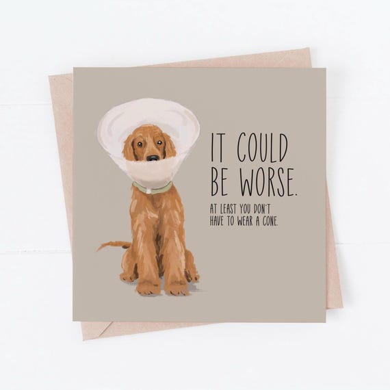 Funny Get Well Card: Dog Cone Humor, Feel Better Soon, from the dog