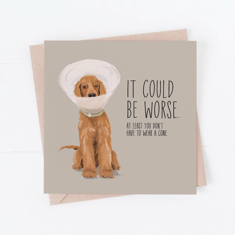 May include: A humorous greeting card featuring a cartoon illustration of a dog wearing a cone. The text reads "It could be worse. At least you don't have to wear a cone."