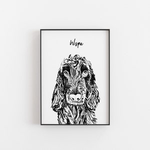 Cocker Spaniel Dog Print, Cocker Spaniel art, dog prints, dog gifts, cocker spaniels, the dog lover, dog gifts, dog portrait, personalised No Glasses