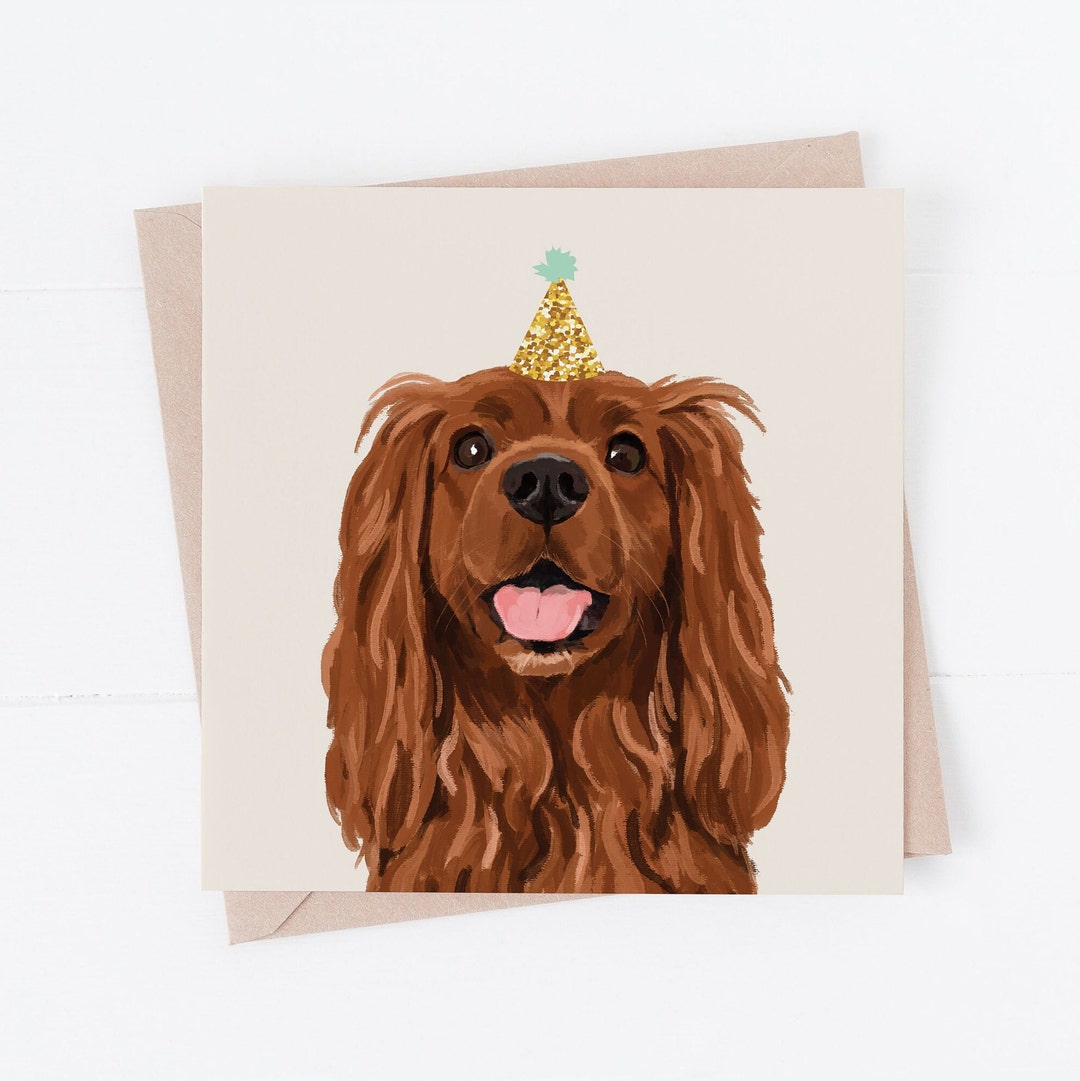 Cavalier Spaniel Birthday Card: Party Hat Dog Card - Etsy