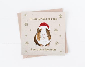 Guinea Pig Christmas Card: Xmas Card