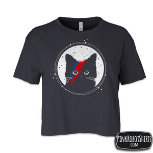 May include: A dark gray cropped t-shirt with a black cat wearing a red and blue lightning bolt over its eye. The cat is in a circle with white stars around it.