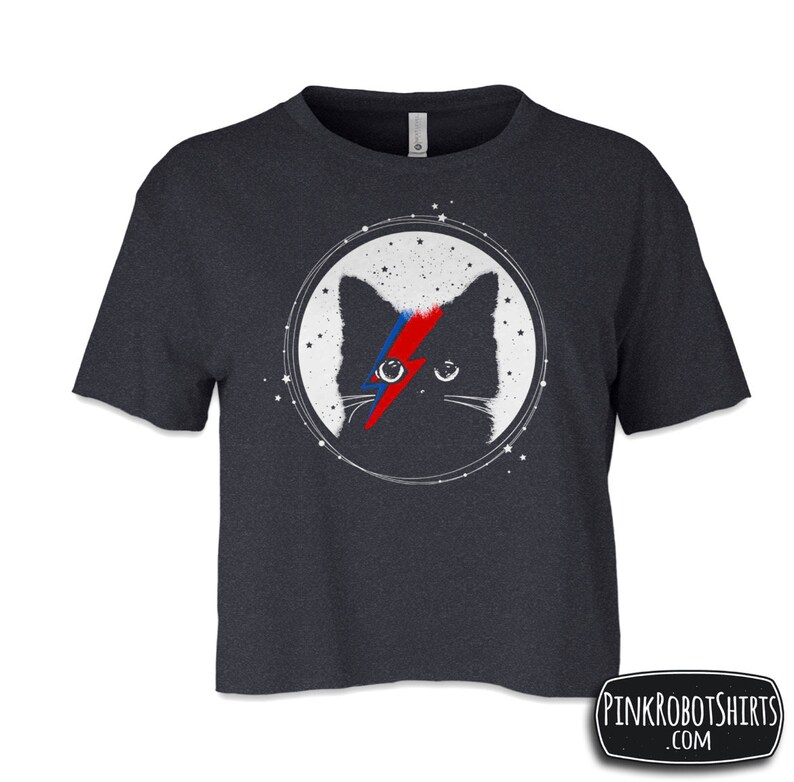 May include: A dark gray cropped t-shirt with a black cat wearing a red and blue lightning bolt over its eye. The cat is in a circle with white stars around it.
