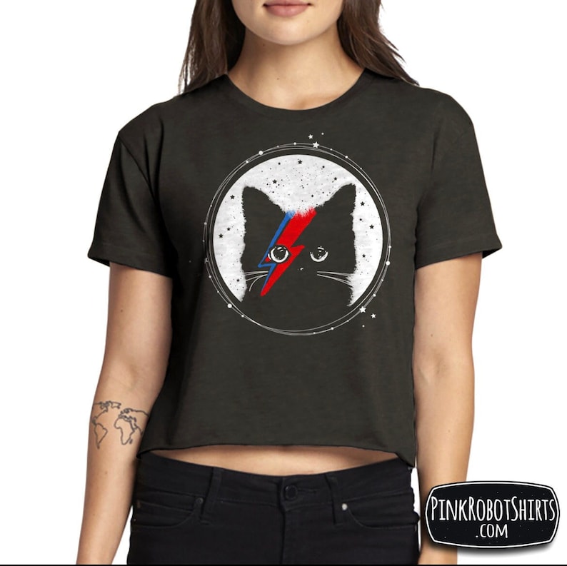May include: A black cropped t-shirt with a black cat wearing a lightning bolt over its eye. The cat is surrounded by a circle with stars. The text "PINKROBOTSHIRTS.COM" is in the lower right corner of the image.