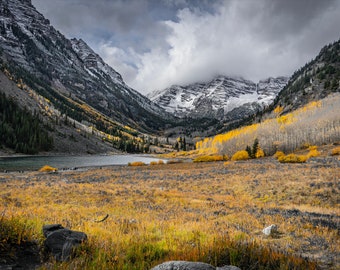 5 Prints - Aspen in Fall - Quintet (5 Photos)