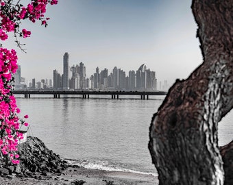 3 Prints - Panama - Triplicate (3 Photos)