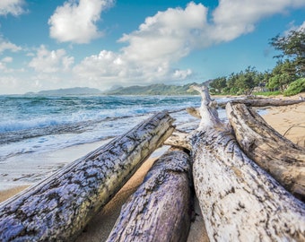3 Prints - Hawaiian Beach - Triplicate (3 Photos)