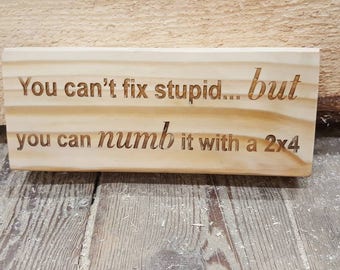 Can't Fix Stupid wood sign 2x4 FREE SHIPPING