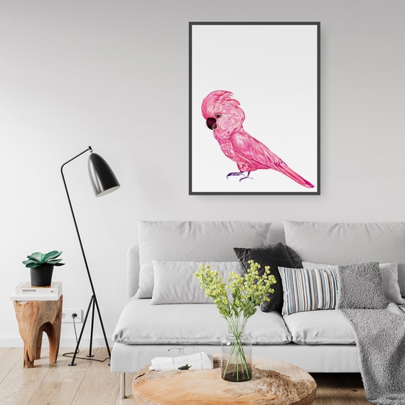 Australian Pink Galah Bird Watercolour Decor Art Print Poster A4 B1 Framed Australian Pink Galah Bird Watercolour Decor Art Print Poster A4 B1 Framed