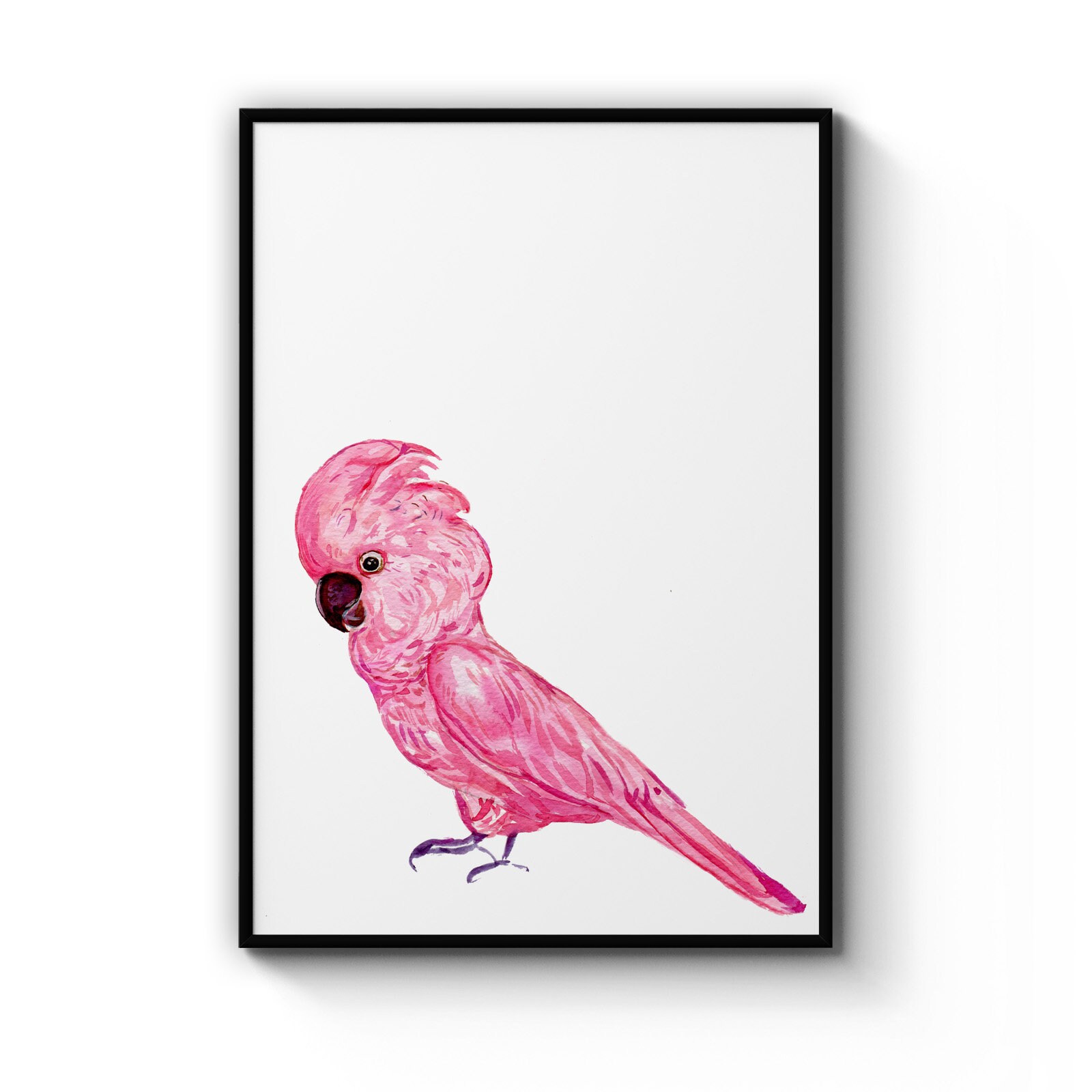 Australian Pink Galah Bird Watercolour Decor Art Print Poster A4 B1 Framed Australian Pink Galah Bird Watercolour Decor Art Print Poster A4 B1 Framed