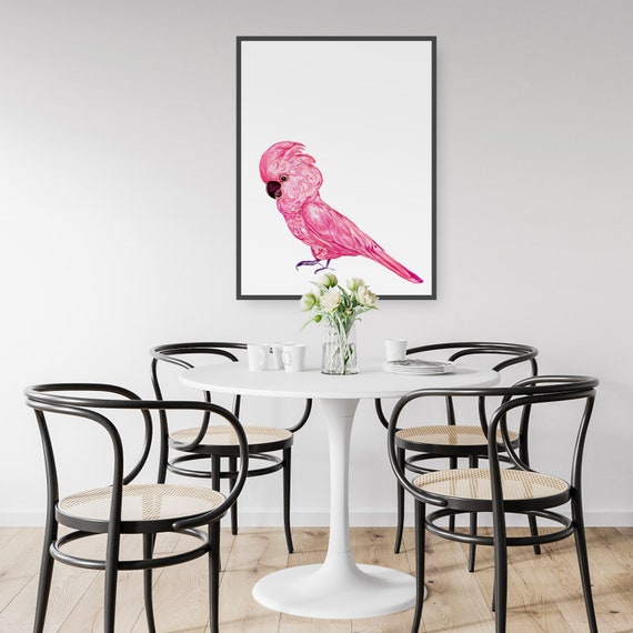 Australian Pink Galah Bird Watercolour Decor Art Print Poster A4 B1 Framed Australian Pink Galah Bird Watercolour Decor Art Print Poster A4 B1 Framed