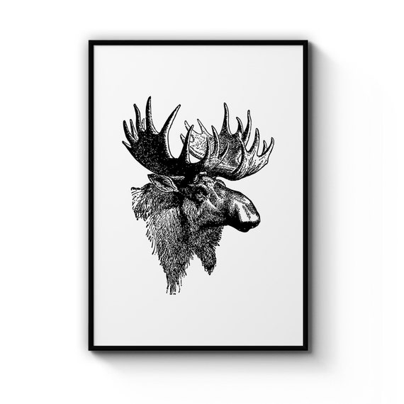 Minimal Moose Head Drawing Black and White Hunting Nursery | Etsy
