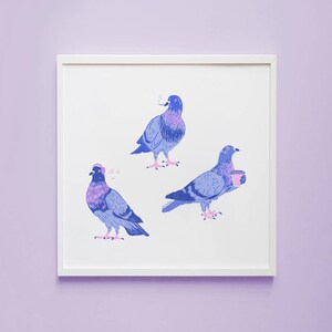 Berlin City Pigeons – Art Print, Poster, Illustration