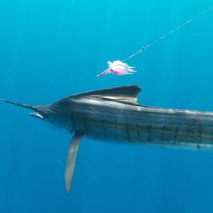 Sailfish Flies, Saltwater Fly Fishing Flies, Billfish Flies, Marlin Fishing, Tube Flies, Tube Fly Pattern, Saltwater Fishing, &quot;Sailor Flies&quot;