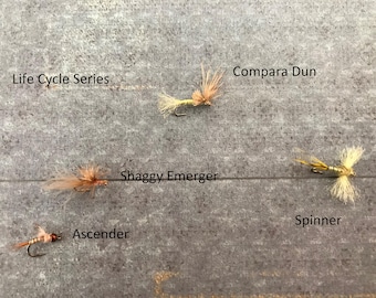 Trout Flies, Trout Life Cycle, Nymph Flies, Hand Tied Flies, Fly Fishing Gift for Men, Freshwater Flies, Fishing Birthday Gift for Boyfriend